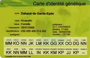 identit&eacute; g&eacute;n&eacute;tique